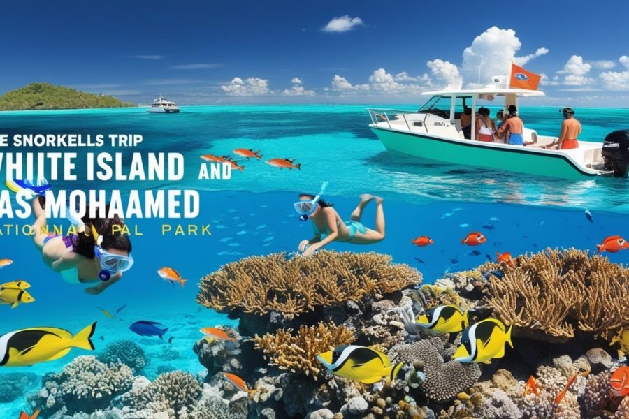White Island & Ras Mohamed National Park Snorkeling Boat Trip