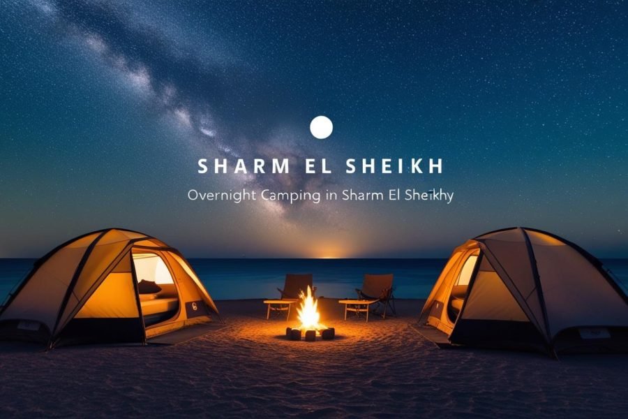 Overnight Camping Trip in Ras Mohammed National Park